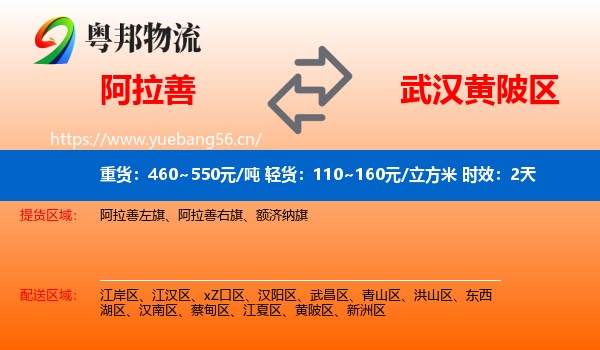 阿拉善到黄陂区物流专线名片