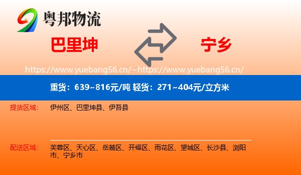 巴里坤到宁乡市物流