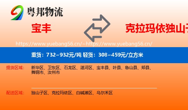 宝丰到独山子区物流
