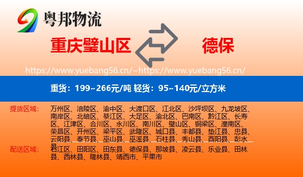 重庆璧山区到德保县物流