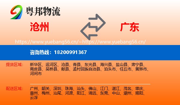 沧州到广东物流
