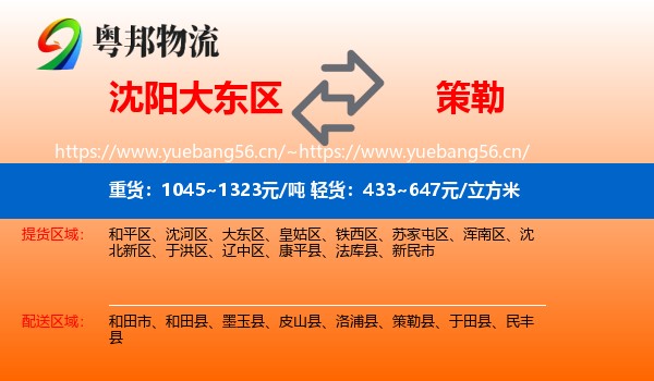 沈阳大东区到策勒县物流