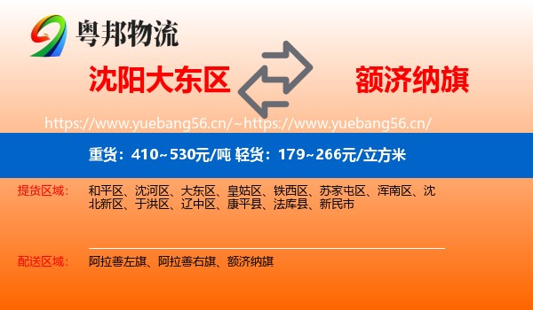 沈阳大东区到额济纳旗物流