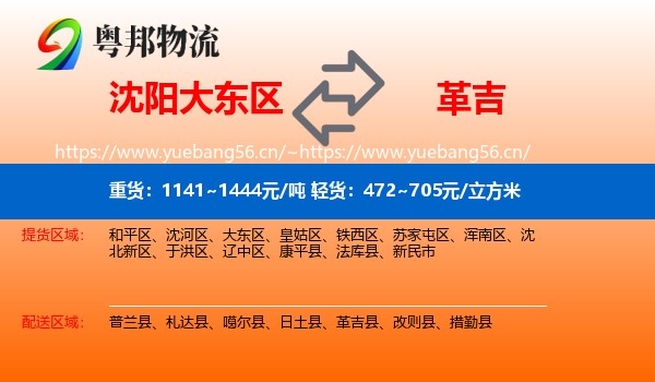 沈阳大东区到革吉县物流