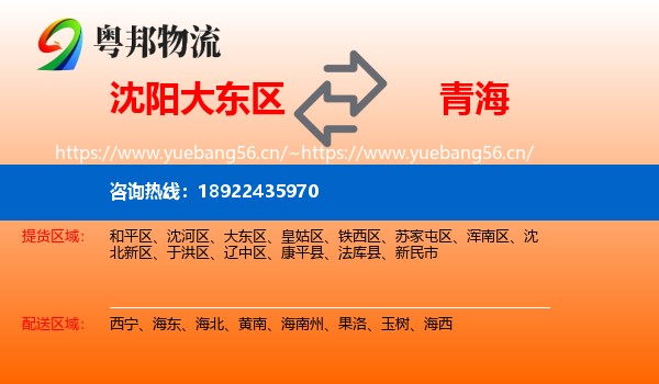 沈阳大东区到青海物流