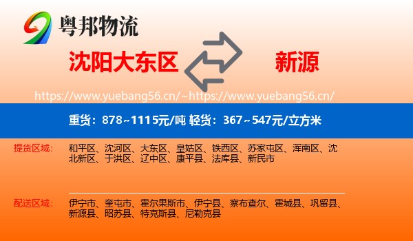 沈阳大东区到新源县物流