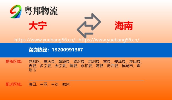 大宁到海南物流
