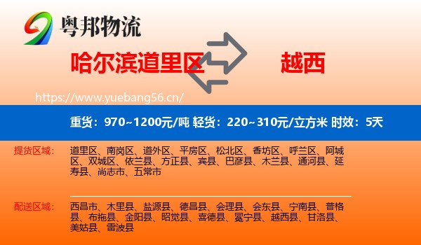 哈尔滨道里区到越西县物流专线名片