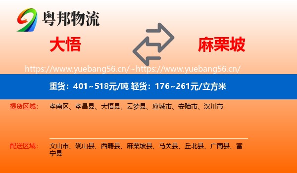 大悟到麻栗坡县物流