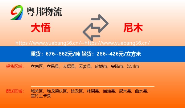 大悟到尼木县物流