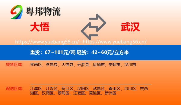 大悟到武汉物流