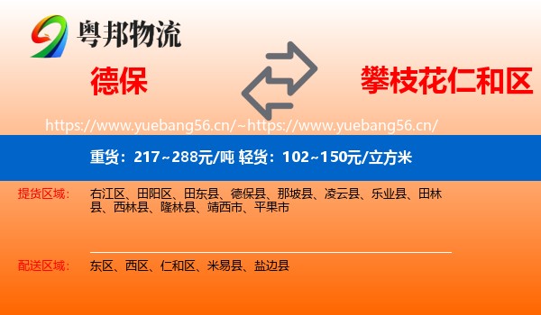 德保到仁和区物流