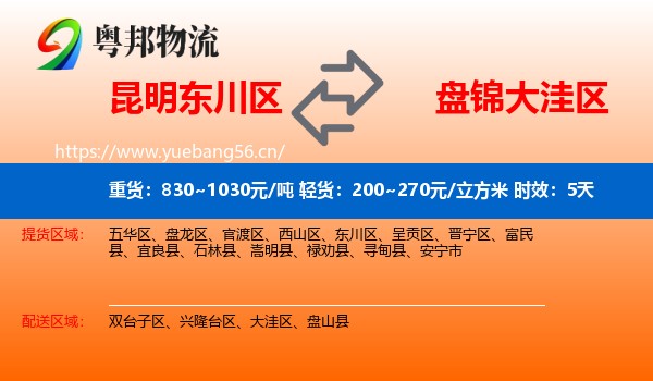 昆明东川区到大洼区物流专线名片
