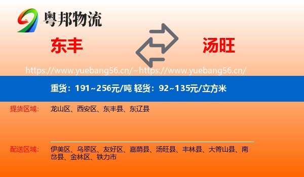 东丰到汤旺县物流