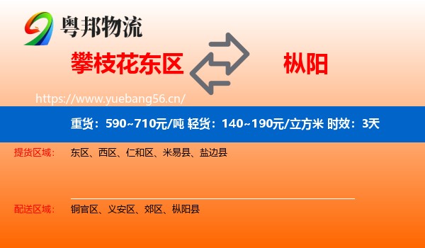 攀枝花东区到枞阳县物流专线名片