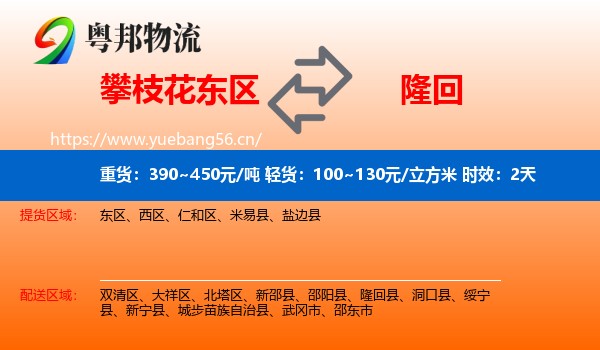 攀枝花东区到隆回县物流专线名片