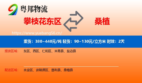 攀枝花东区到桑植县物流专线名片