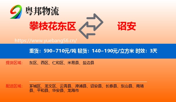 攀枝花东区到诏安县物流专线名片