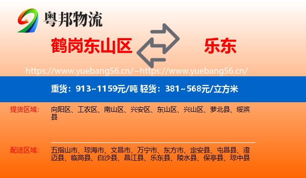 鹤岗东山区到乐东县物流