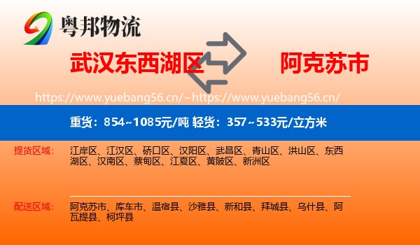 武汉东西湖区到阿克苏市物流