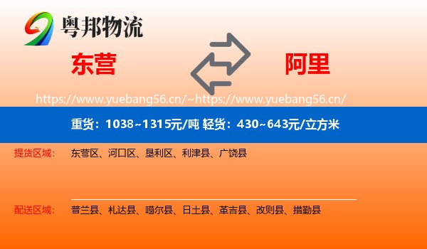 东营到阿里物流