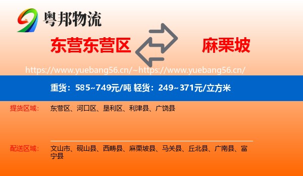 东营东营区到麻栗坡县物流