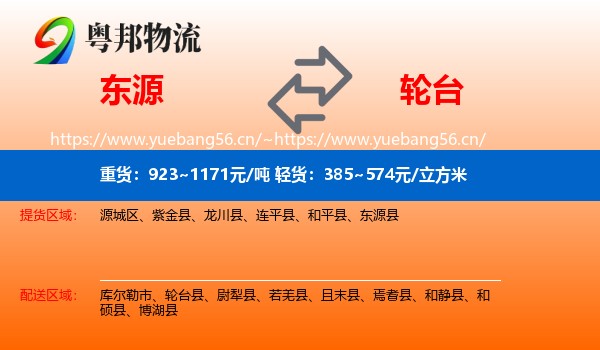 东源到轮台县物流