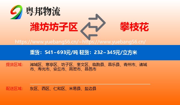 潍坊坊子区到攀枝花物流