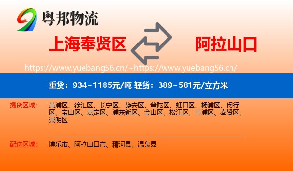上海奉贤区到阿拉山口市物流