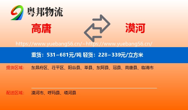 高唐到漠河市物流
