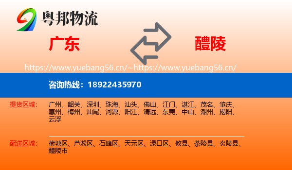 广东到醴陵市物流