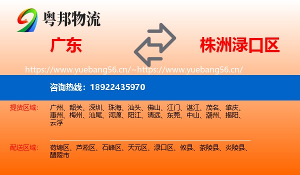 广东到渌口区物流