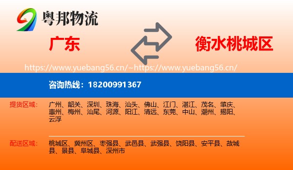 广东到桃城区物流