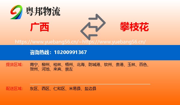 广西到攀枝花物流专线