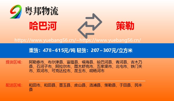 哈巴河到策勒县物流