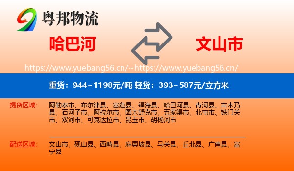哈巴河到文山市物流