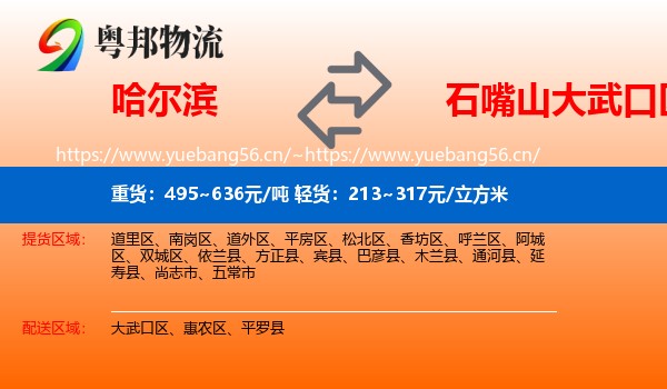 哈尔滨到大武口区物流