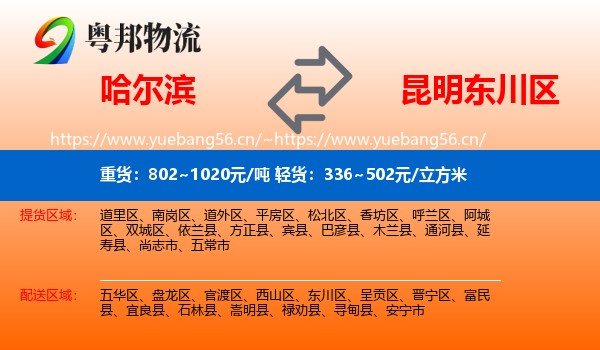 哈尔滨到东川区物流