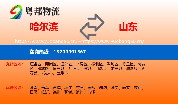 哈尔滨到山东物流