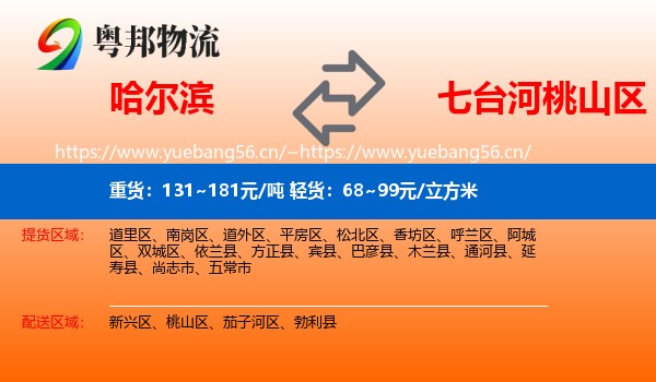哈尔滨到桃山区物流