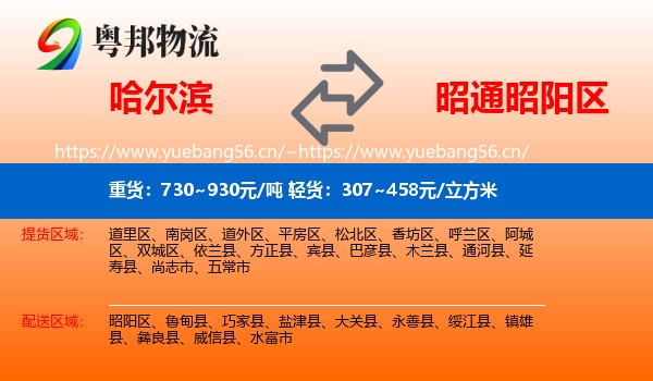 哈尔滨到昭阳区物流