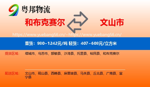 和布克赛尔到文山市物流