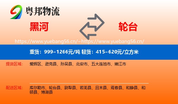 黑河到轮台县物流