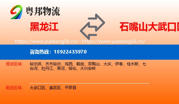 黑龙江到大武口区物流