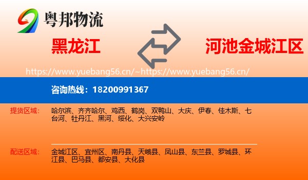 黑龙江到金城江区物流