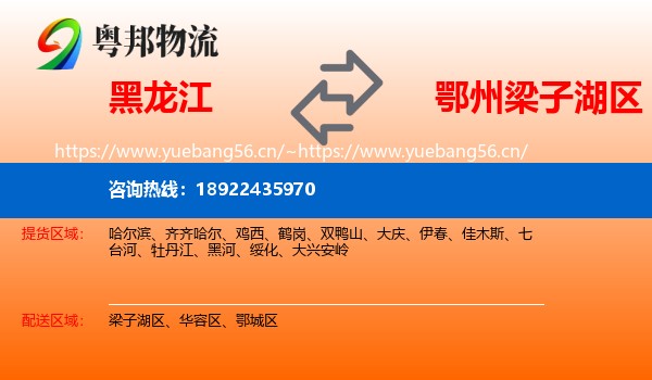 黑龙江到梁子湖区物流
