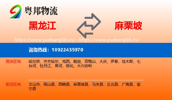 黑龙江到麻栗坡县物流