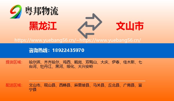 黑龙江到文山市物流