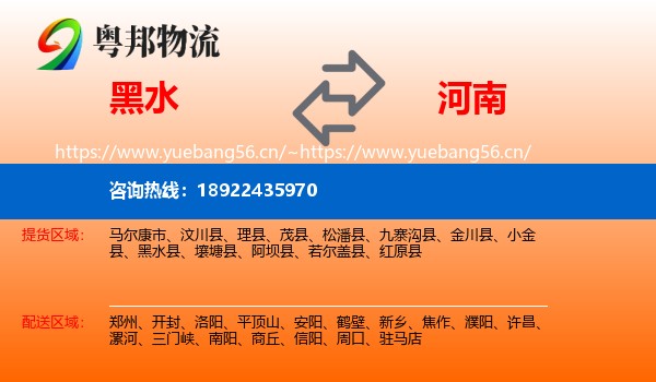 黑水到河南物流