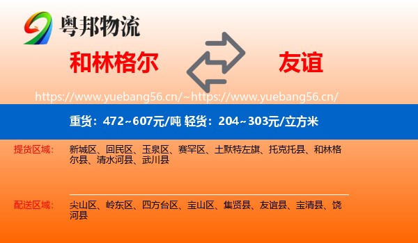 和林格尔到友谊县物流